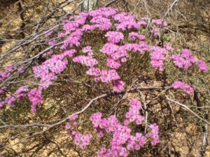 20101030-075452.jpg