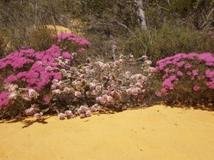 20101030-075643.jpg
