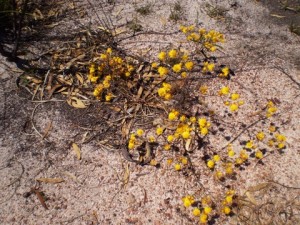 20101030-075920.jpg